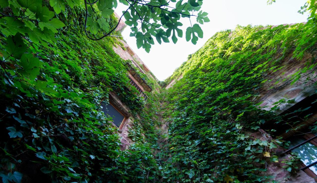 וילאפאמס El Jardin Vertical מראה חיצוני תמונה